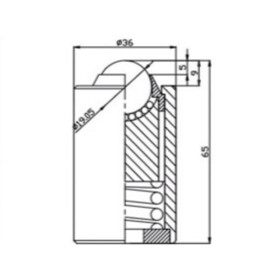 Ball Transfer Unit, 19.05 mm with spring